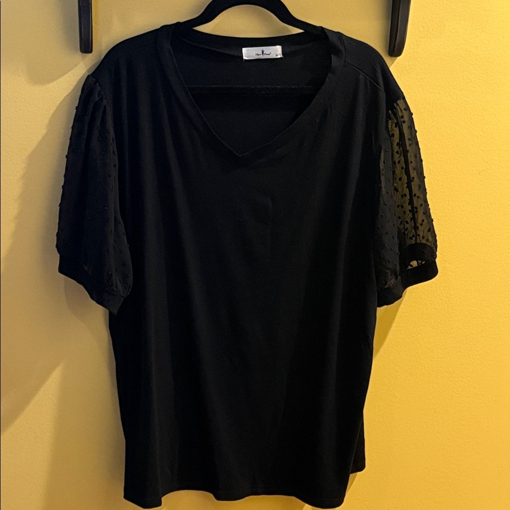 Black V-Neck Top with Sheer Dot Puff Sleeves
